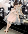 Summer Dresses For Girls Sleeveless Girls Dress Mesh Ruffles